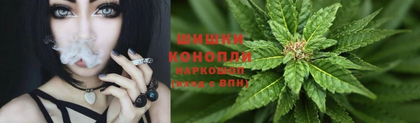 гидропоника Алзамай
