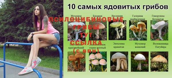 мескалин Алексин
