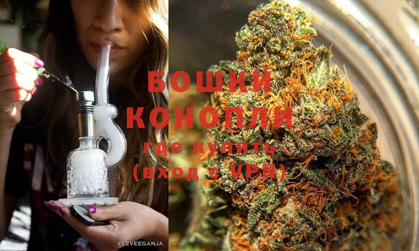 гидропоника Алзамай