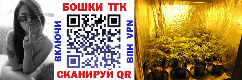 где купить наркотик  Стародуб  блэк спрут ссылки  Шишки марихуана Amnesia 
